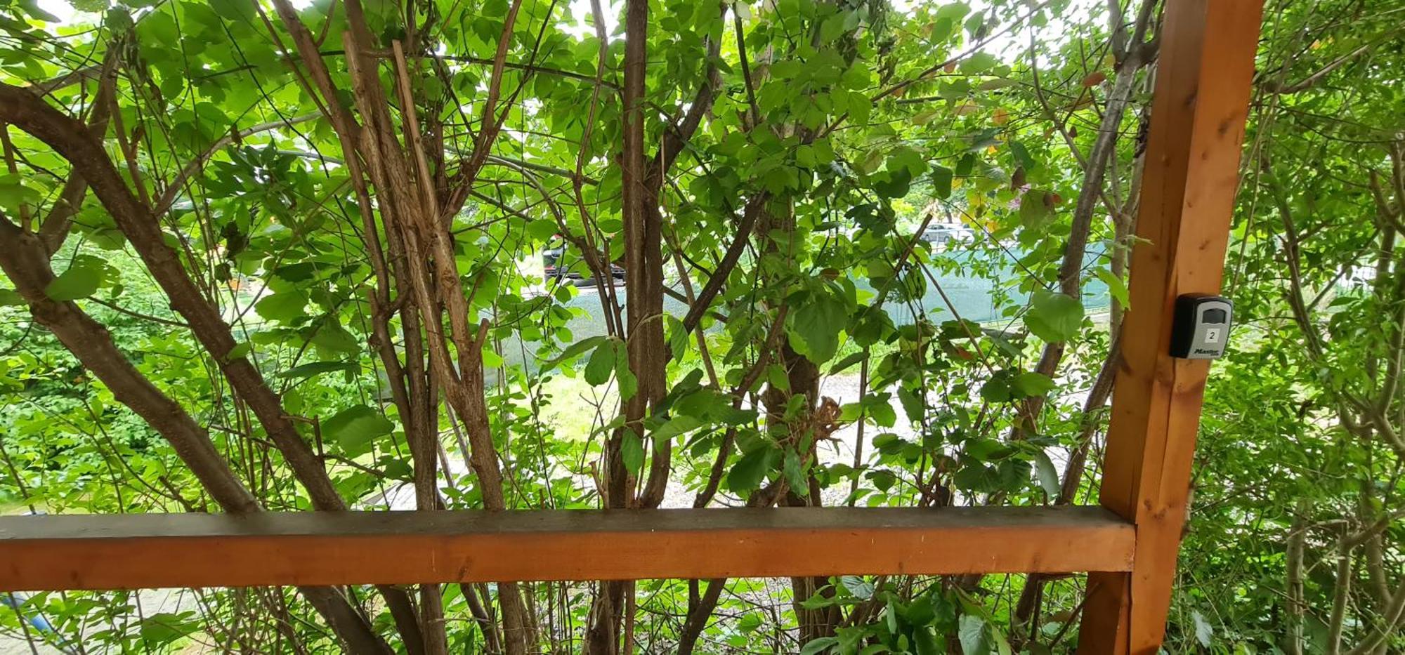 Apartmany Orlová Buitenkant foto